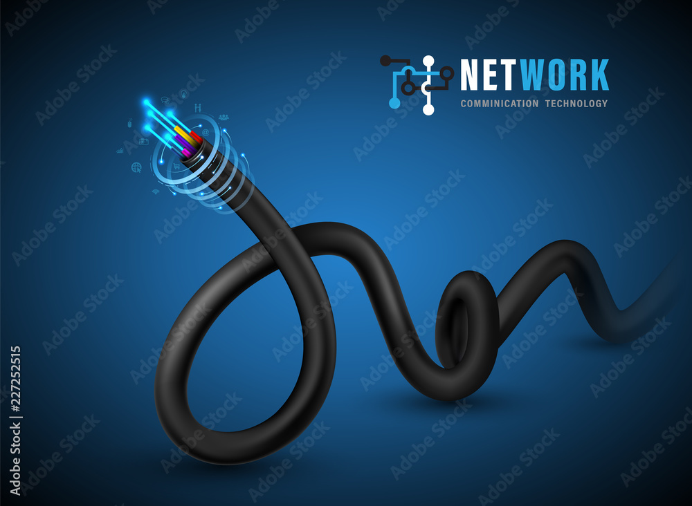 Quadro em tela Fiber optic cable