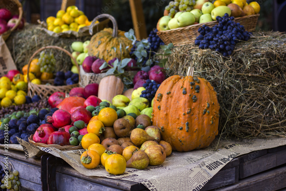  pumpkins and fruits in autumn 