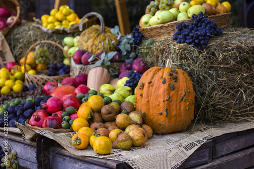  pumpkins and fruits in autumn 
