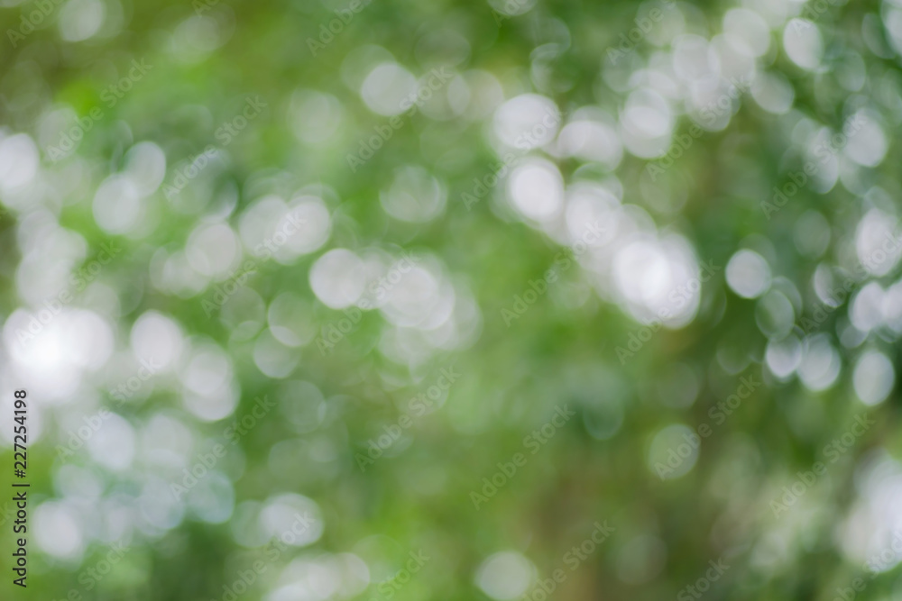 Obraz premium abstract green bokeh for background