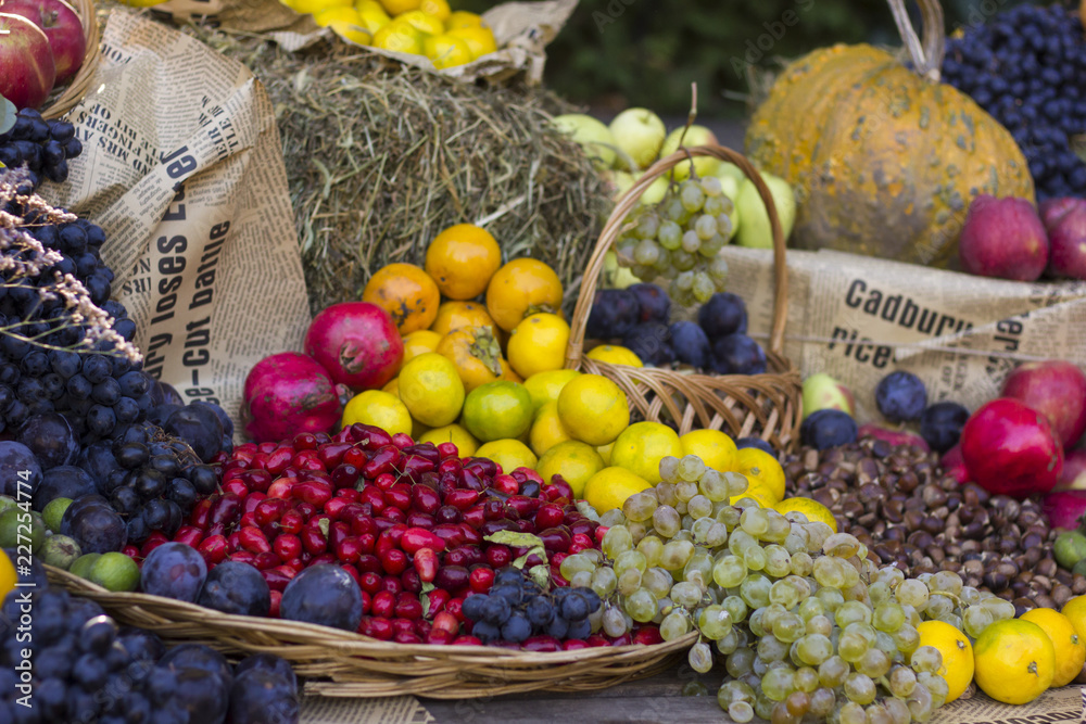 in the garden: the autumn harvest frui in the hay. in the garden: the autumn harvest frui in the hay.