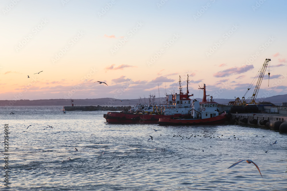 Ships and fishing boats are moored in docks.