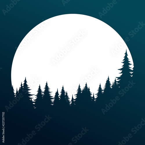 Forest with sun dawn.