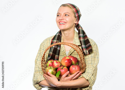 Slika na platnu Woman gardener rustic style hold basket with apples on white background