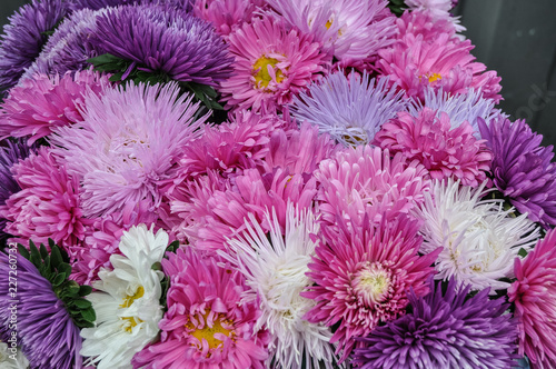 Bright multicolored flowers close-up