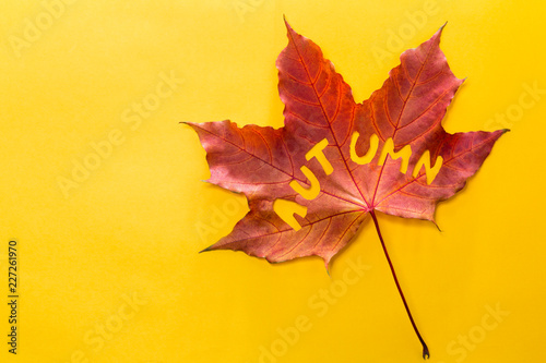 The word autumn, carved on a maple leaf.