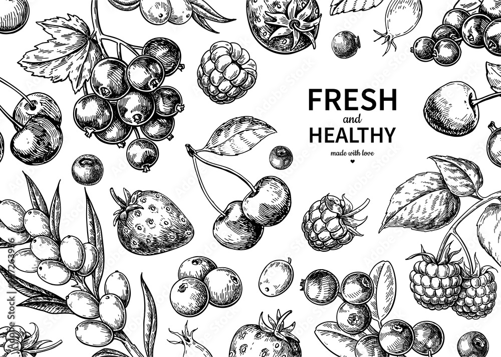 Wild berry drawing. Hand drawn vintage vector frame. Summer fruit set