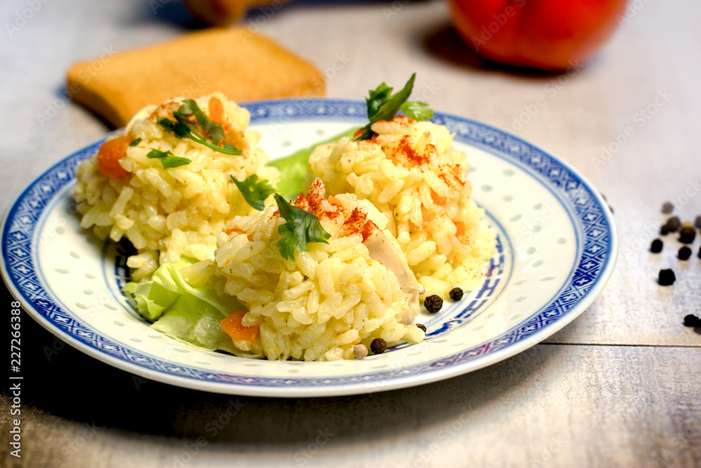 Rice with chicken meat, selective focus on rice Rice with chicken meat, selective focus on rice