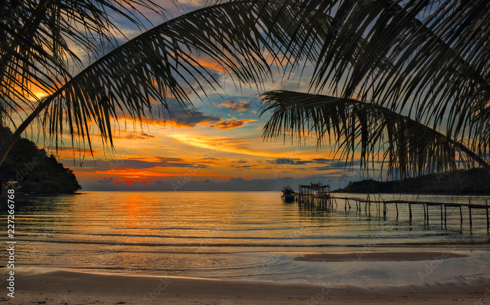 palms sunset on the beach