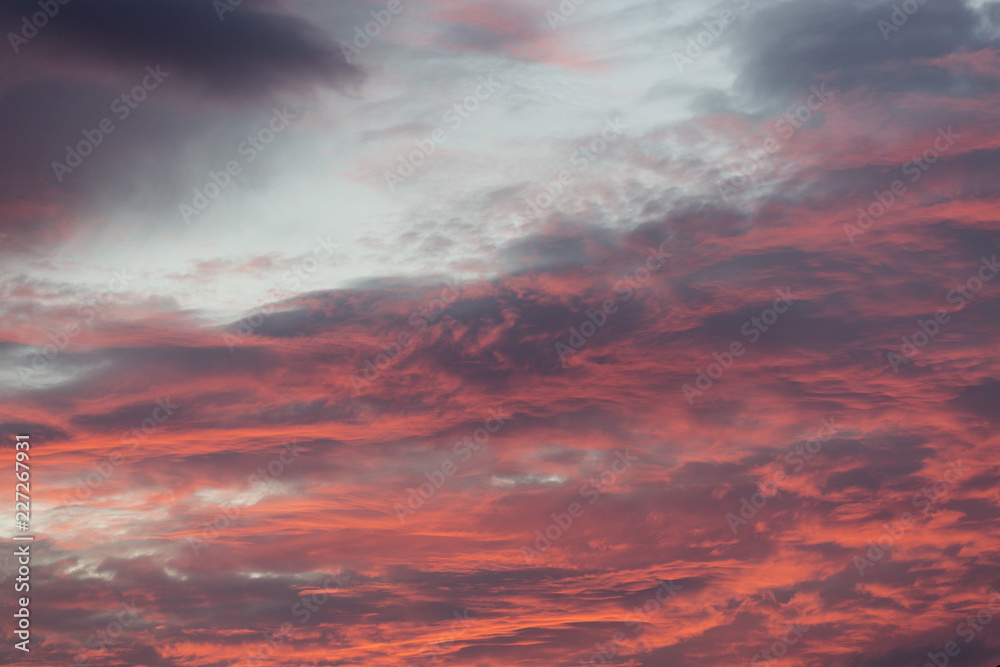 Fototapeta premium Zachód słońca