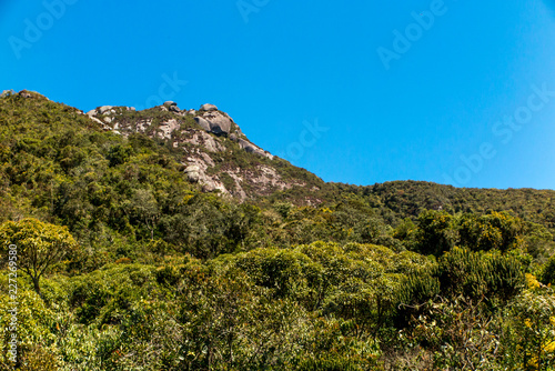 Ridges and vegetation of the Serra dos Órgãos National Park, Teresópolis, Brazil