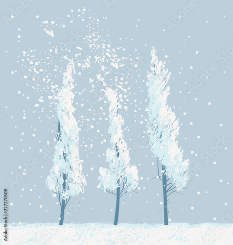 Snowy winter landscape or banner in white and gray colors with three slender snow-covered young trees. Vector illustration