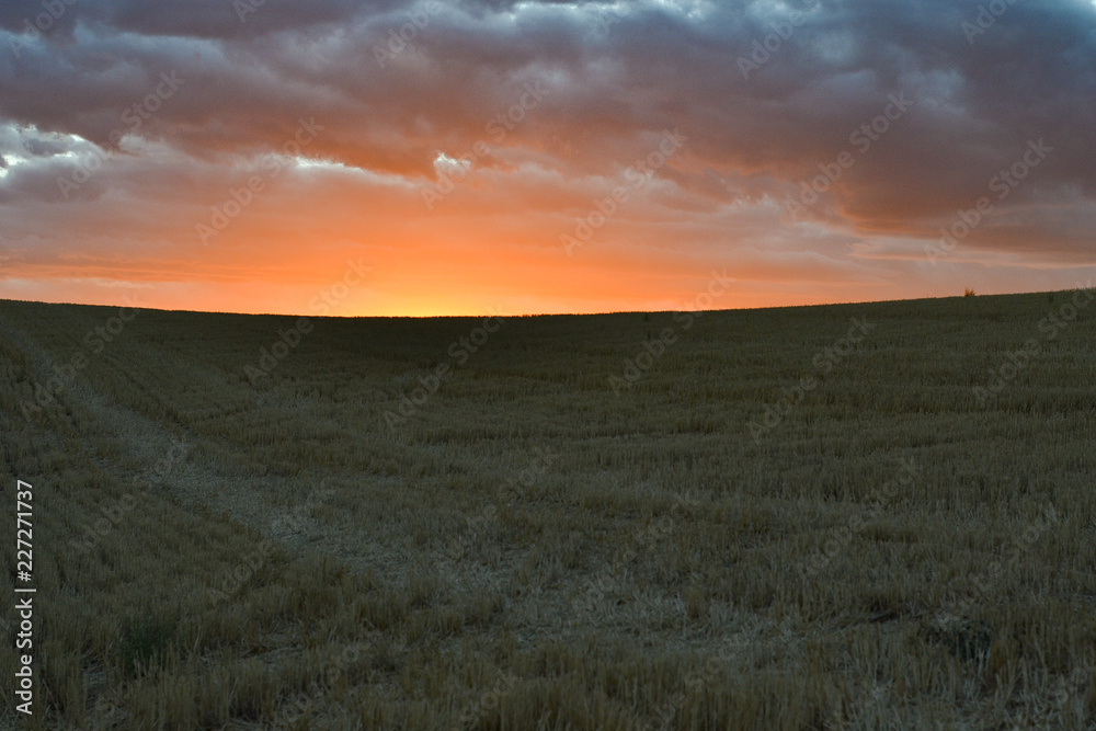 Fototapeta premium Stormy sunset in the fields