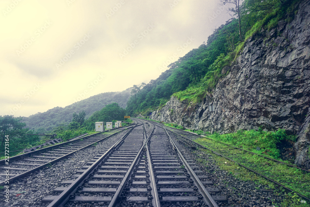 Railway in the Indian jungle Railway in the Indian jungle