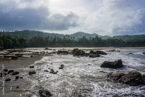 Flora and fauna of the tropical peninsula in the jungle. Gokarna Village, India