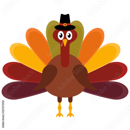 Vector illustration of a thanksgiving turkey