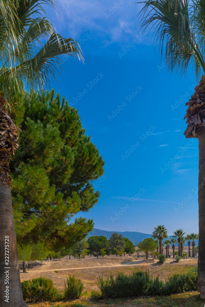 The characteristic summer nature of one of the subtropical Mediterranean countries. Photos from places of summer recreation and travel.