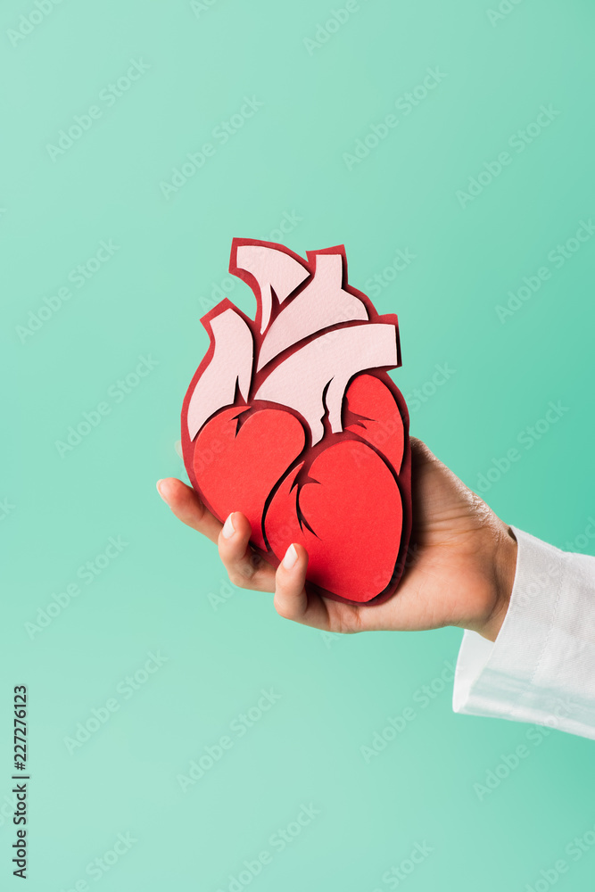 Φωτογραφία cropped shot of doctor in white coat holding heart model isolated on green