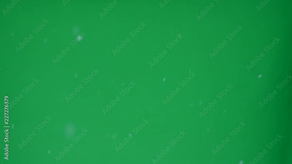 Snow flakes blow in the wind in front of green screen