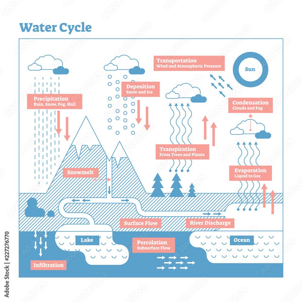 Water Cycle vector illustration diagram. Geo science ecosystem scheme.