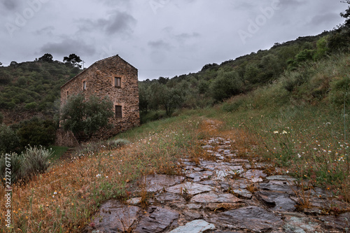Rudere in Collina