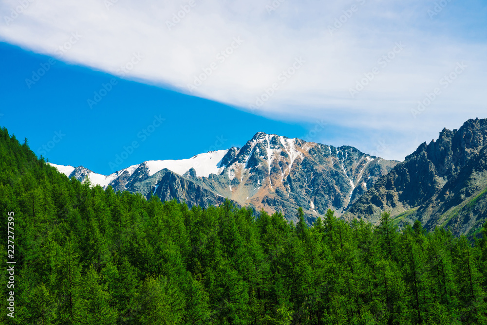Snowy mountain top behind wooded hill under blue clear sky. Rocky ridge above coniferous forest. Atmospheric minimalistic landscape of majestic nature.