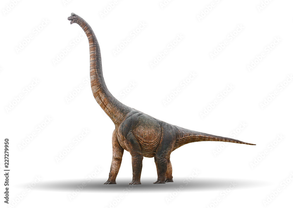 Naklejka premium Sauropod Dinosaur jest wykonany z cementu na białym tle z wycinek ścieżki
