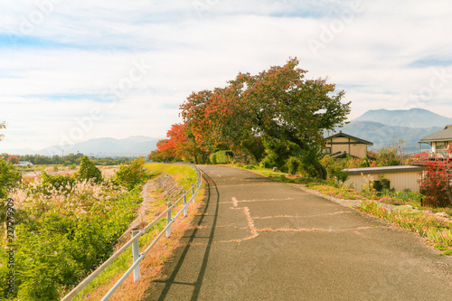  Japan autumn , Beautiful autumn leaves of Obuse park ,Nagano Prefecture,Japan. photo