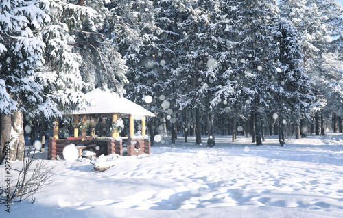 wooden gazebo in forest in the winter snow blizzard