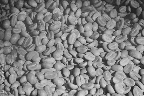 Light Roasted Coffee Beans as Background in Black & White
