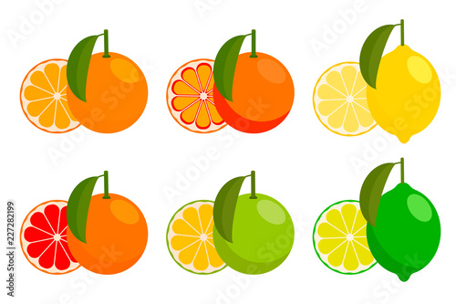 icon set with vector citrus. vector illustration