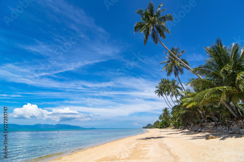 Fototapeta Naklejka Na Ścianę i Meble -  A palm trees on a beach with golden sand. The turquoise sea. Samui island, Thailand