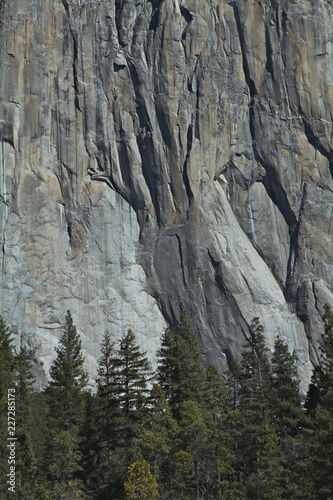 Wallpaper Mural Face of El Capitan Torontodigital.ca