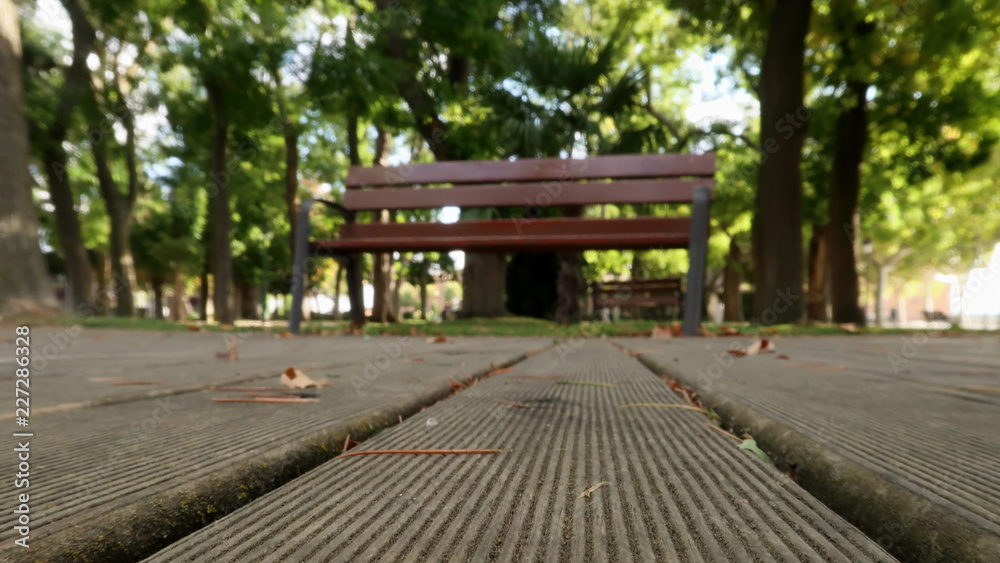 Tabla de madera en el suelo de un paseo de un parque en otoño, con hojas secas y banco de madera solitario y arboles desenfocados