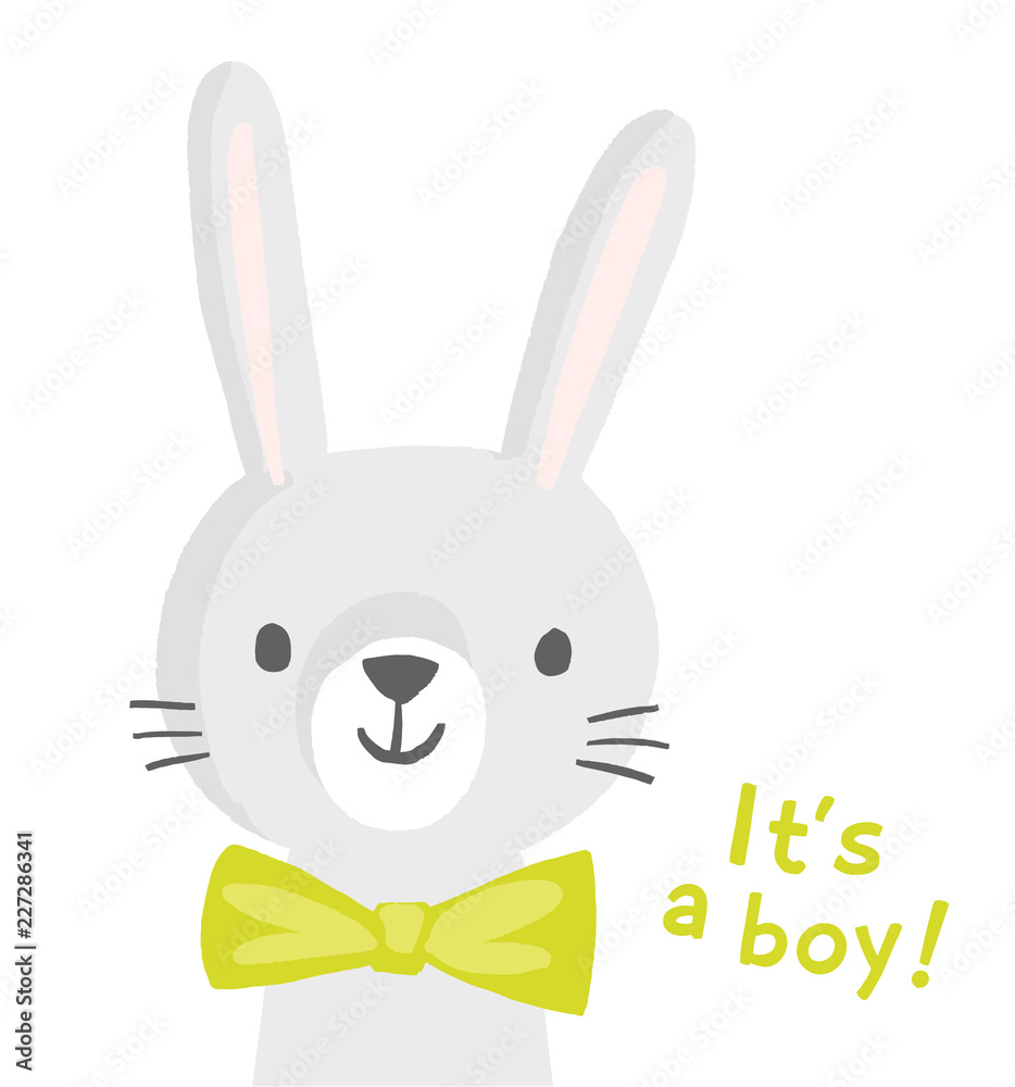 birthday card, congratulations card Cute Rabbit Its a Boy Cute animal card New born card