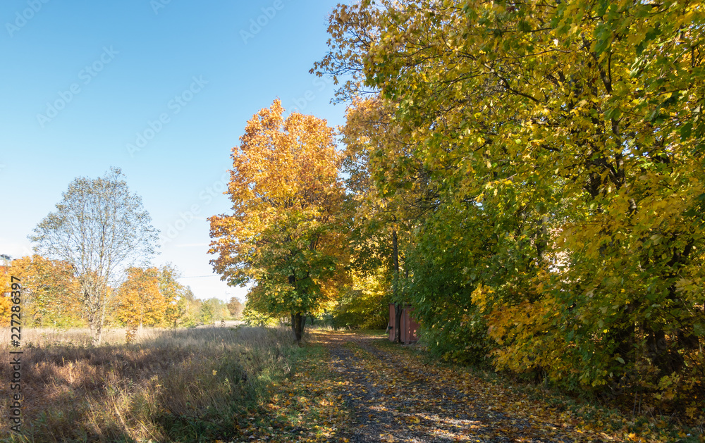 autumn path at contyside