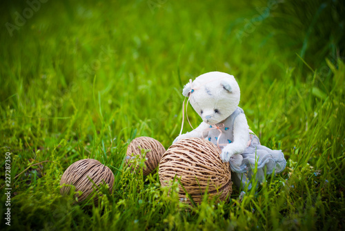 Fototapeta Naklejka Na Ścianę i Meble -  Small teddy bear in green