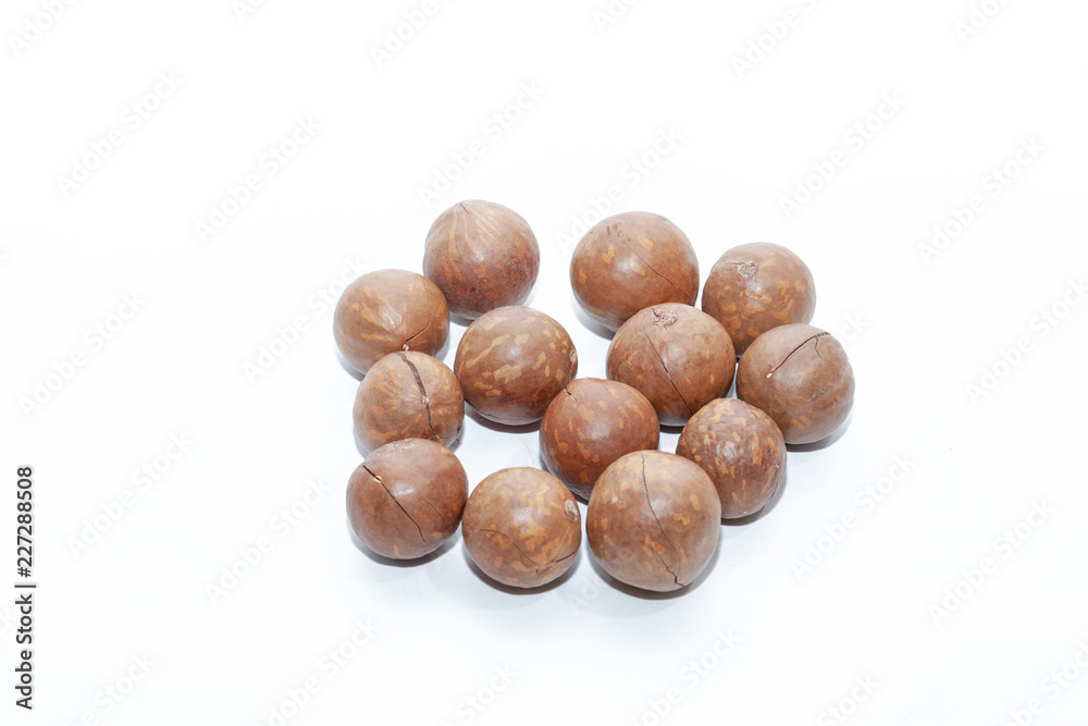 close up of organic macadamia nut on white background close up of organic macadamia nut on white background