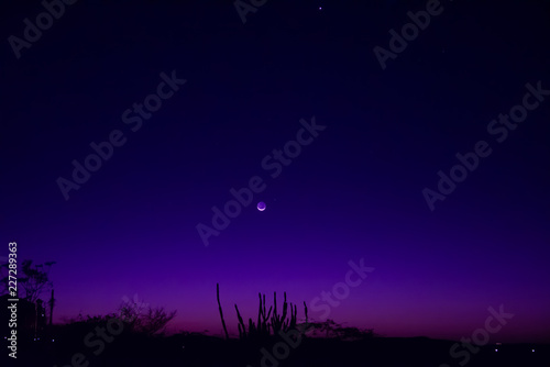 new moon in purple and pink sky © bwof