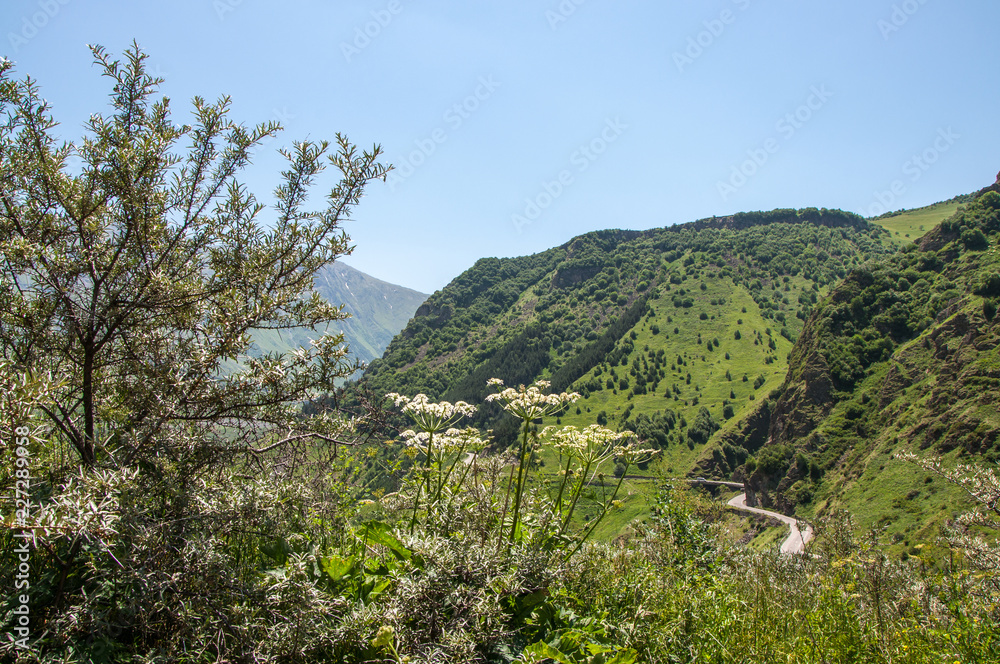 Nature Of Georgia. Summer in the mountains. Georgian military road.