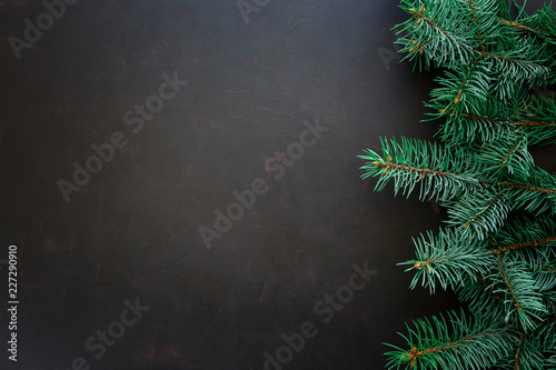 Christmas Border. Fir tree branches on dark wooden background. Top view. Copy space