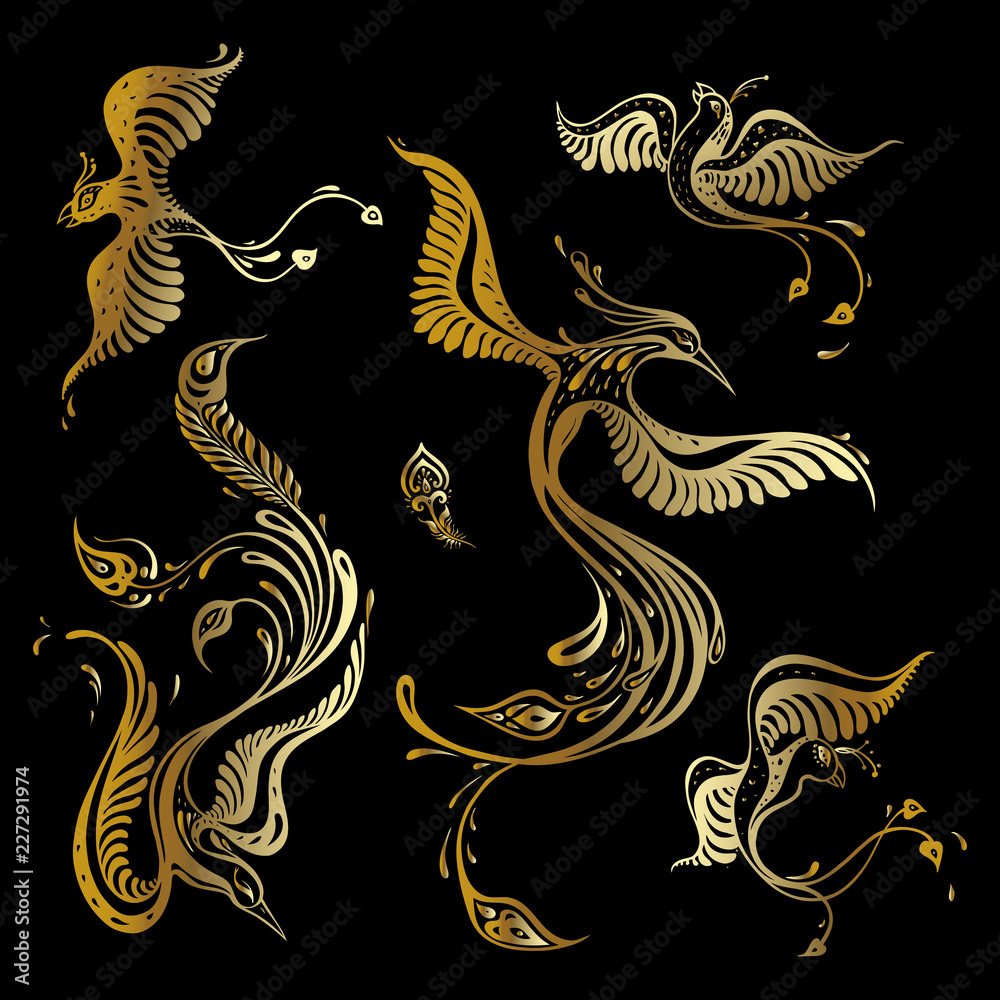 Fototapeta premium Beautiful peacock set. Exotic bird. Vector hand drawn detailed illustration