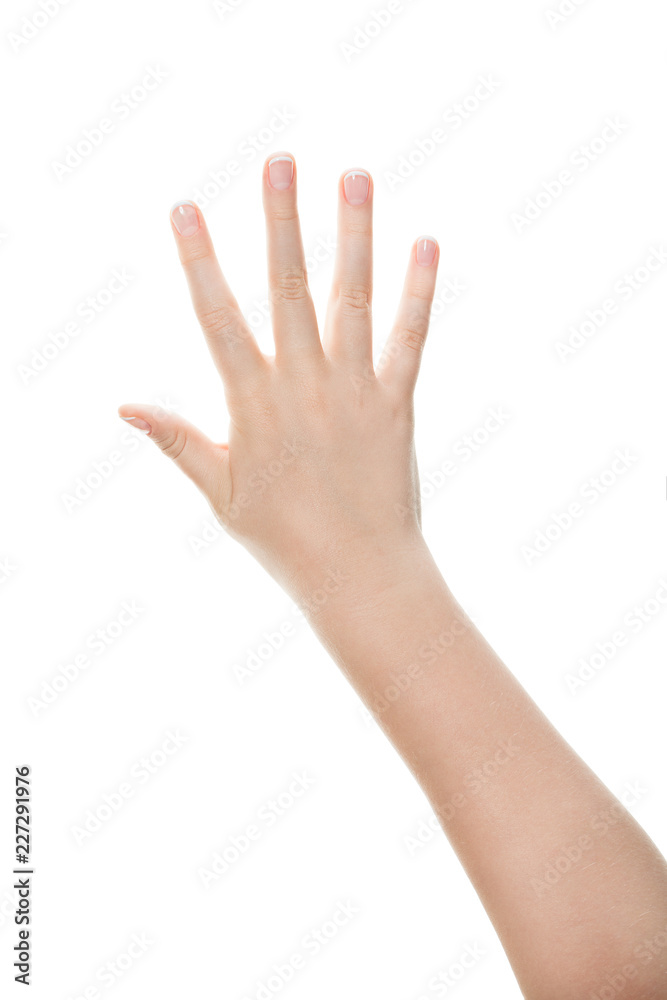 Beautiful woman hand isolated on white background Beautiful woman hand isolated on white background