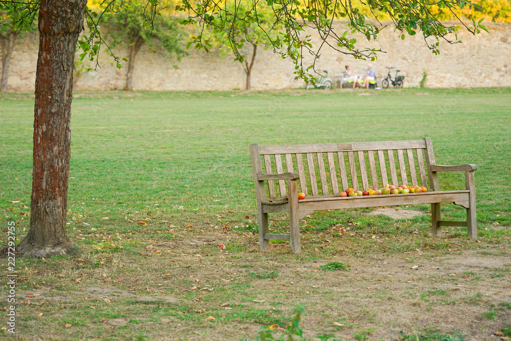 Apples on decorative garden bench. Beautiful Background. Apples on decorative garden bench. Beautiful Background.