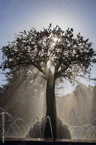 Силуэт дерева в фонтане против солнца.Струи воды.Вертикально.