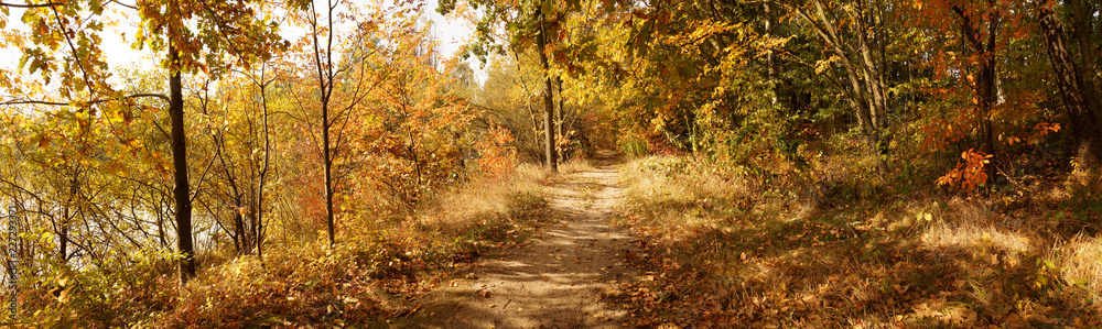 Autumnal panorama. The path running along the bank of the pond is covered with leaves.
