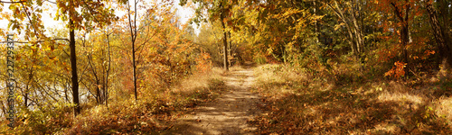 Autumnal panorama. The path running along the bank of the pond is covered with leaves.