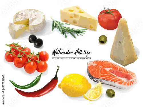 Handdrawn watercolor illustration of the fresh Food, isolated on the white background in vector. Cherry tomatoes, chilli peppers, parmesan cheese, camembert, olives, red fish steak, rosemary and lemon
