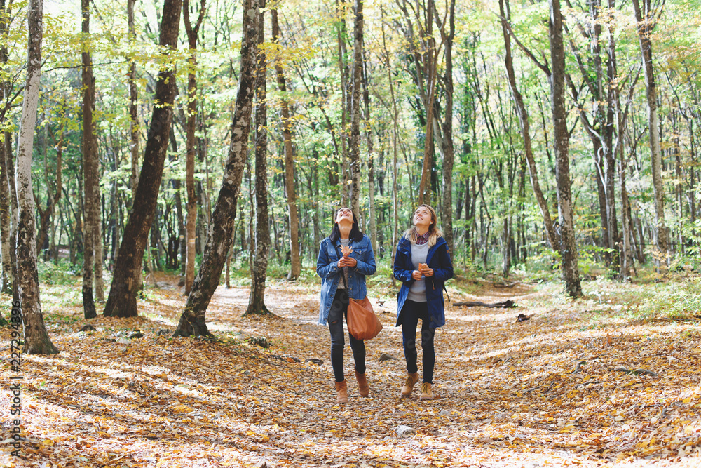 Two young girl friends walking in autumn forest. Girlfriends hiking in the fall. Two young girl friends walking in autumn forest. Girlfriends hiking in the fall.