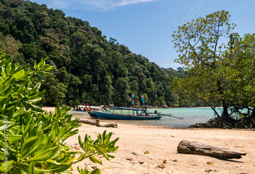 Fototapeta Naklejka Na Ścianę i Meble -  Traditional Thai Long tail Boat on the White Sand Beach with Palm Trees in Thailand, Mu ko Surin national Park
